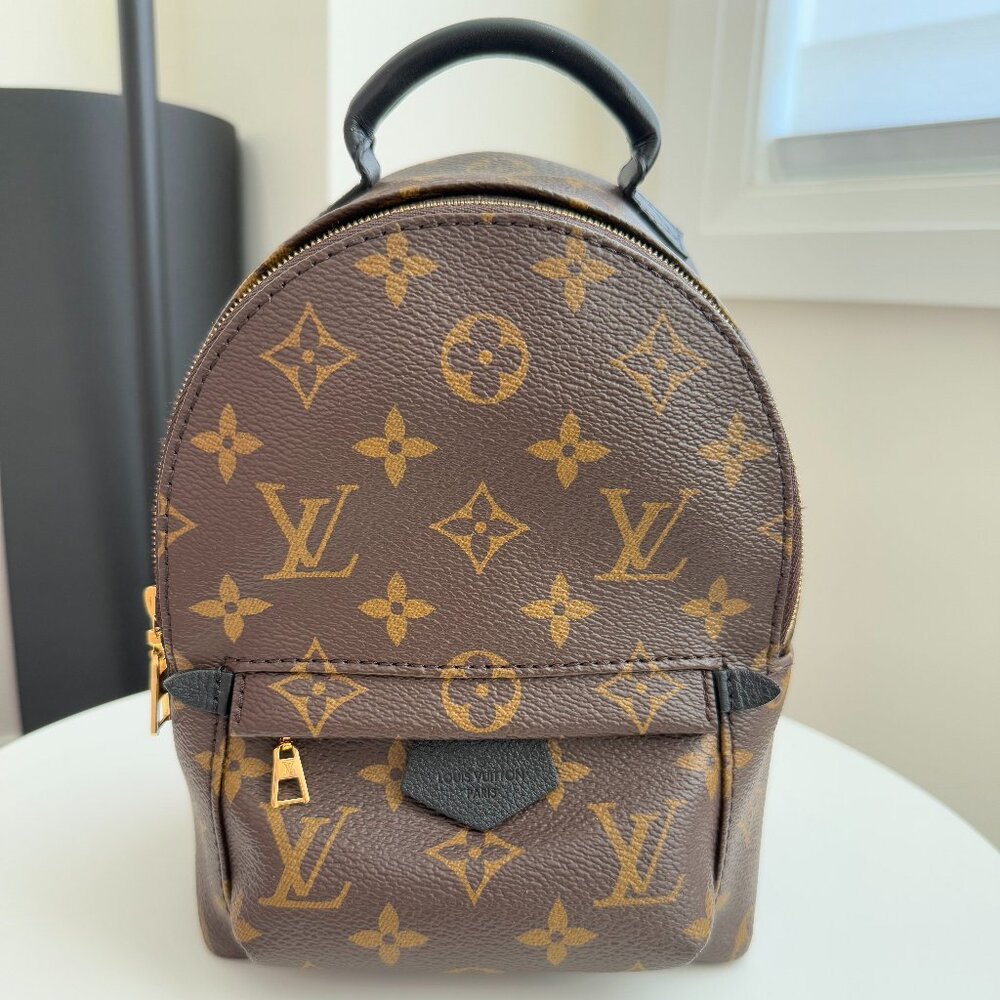 ❌ SOLD ❌ Louis Vuitton Palm Springs Mini - Monogram